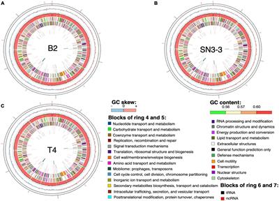 Comparative Genomic Analysis Uncovered Evolution of Pathogenicity Factors, Horizontal Gene Transfer Events, and Heavy Metal Resistance Traits in Citrus Canker Bacterium Xanthomonas citri subsp. citri